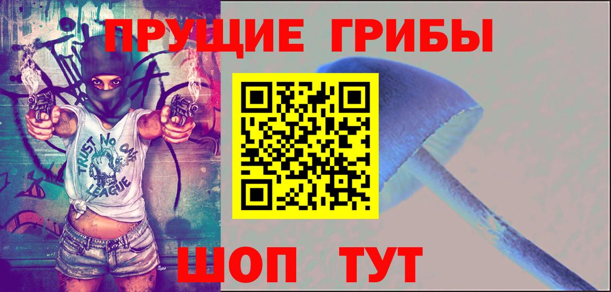 Сердобск  Псилоцибиновые грибы мухоморы  Галлюциногенные грибы Magic Shrooms  Вход с VPN 