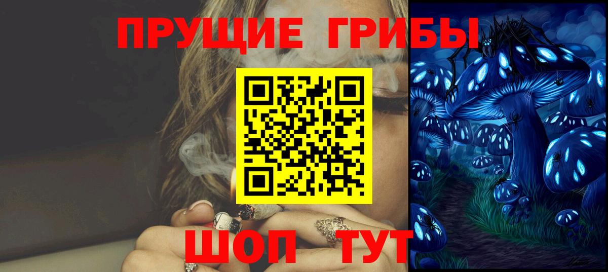 Псилоцибиновые грибы Psilocybine cubensis Сердобск